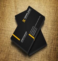 Business Card -  Premium Silk Matte